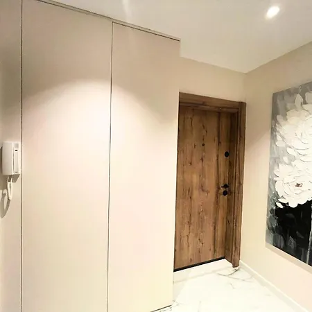 Cozy 1bdr Near Mall And Metro شقة صوفيا
